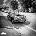 DSaNono-12
